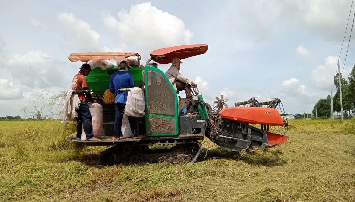 Đề án 1 triệu ha lúa được kỳ vọng sẽ góp phần nâng cao thu nhập cho người dân ĐBSCL. Đề án 1 triệu ha lúa được kỳ vọng sẽ góp phần nâng cao thu nhập cho người dân ĐBSCL.