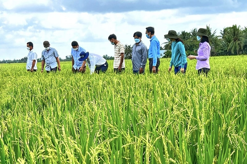 Đề án khởi tạo một phương thức sản xuất mới phù hợp với xu thế sản xuất và tiêu dùng của thế giới Đề án khởi tạo một phương thức sản xuất mới phù hợp với xu thế sản xuất và tiêu dùng của thế giới