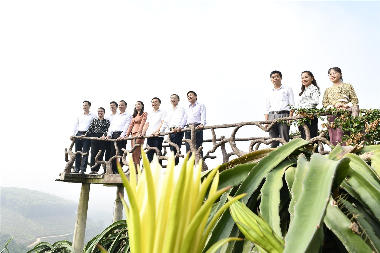 Các đoàn khách đến tham quan trải nghiệm vườn thanh long của gia đình anh Đỗ Văn Hưng.