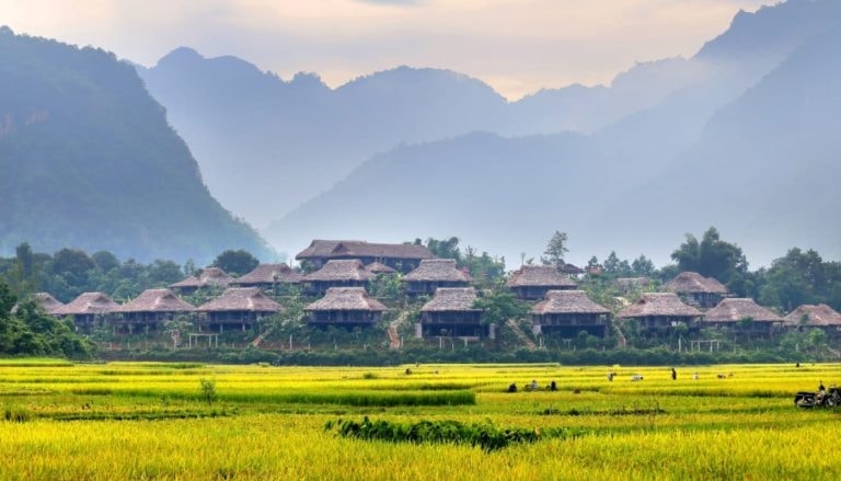 Xu hướng du lịch xanh ngày càng phổ biến. Xu hướng du lịch xanh ngày càng phổ biến.