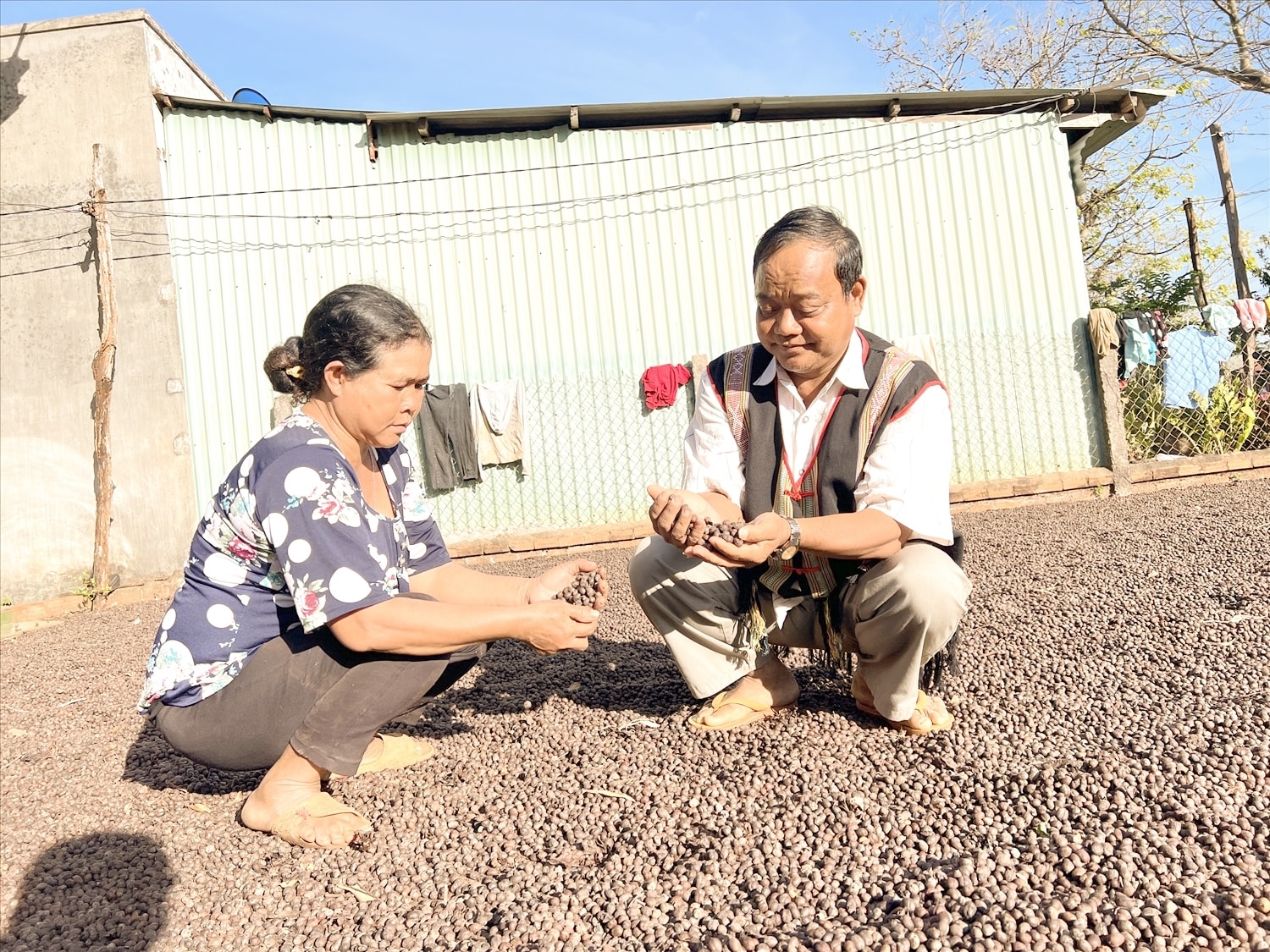 Người có uy tín Siu Biai đã tiên phong trong đổi mới tư duy, ứng dụng khoa học kỹ thuật trong canh tác cà phê bền vững