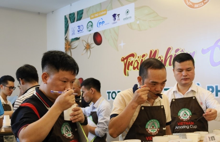 Các nhà rang xay, chế biến trải nghiệm mẫu cà phê đạt tiêu chuẩn đặc sản tại Lễ trao giải Cà phê đặc sản Việt Nam 2024 (Ảnh: Báo Đắk Lắk). Các nhà rang xay, chế biến trải nghiệm mẫu cà phê đạt tiêu chuẩn đặc sản tại Lễ trao giải Cà phê đặc sản Việt Nam 2024 (Ảnh: Báo Đắk Lắk).