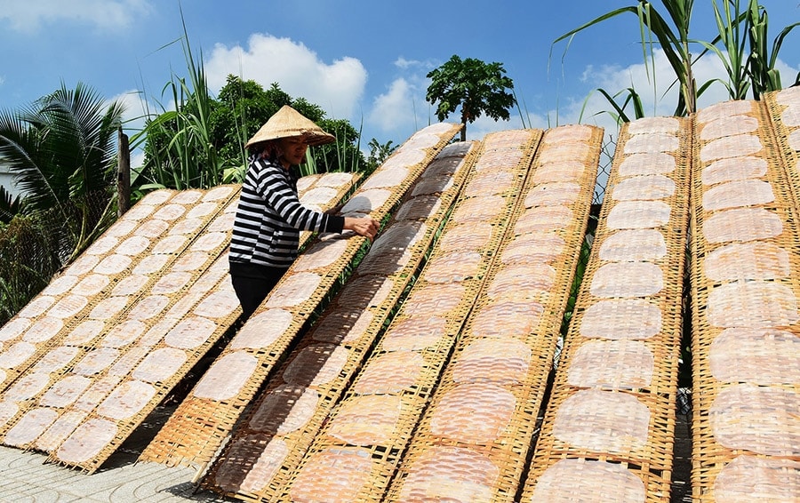 Người làng nghề phơi bánh tráng Trảng Bàng