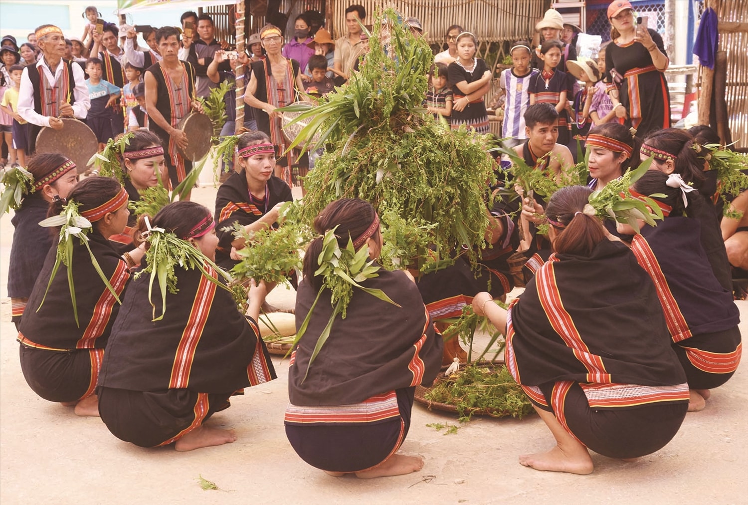 Nghi thức cúng thần lúa linh thiêng xung quanh ché rượu cần Nghi thức cúng thần lúa linh thiêng xung quanh ché rượu cần