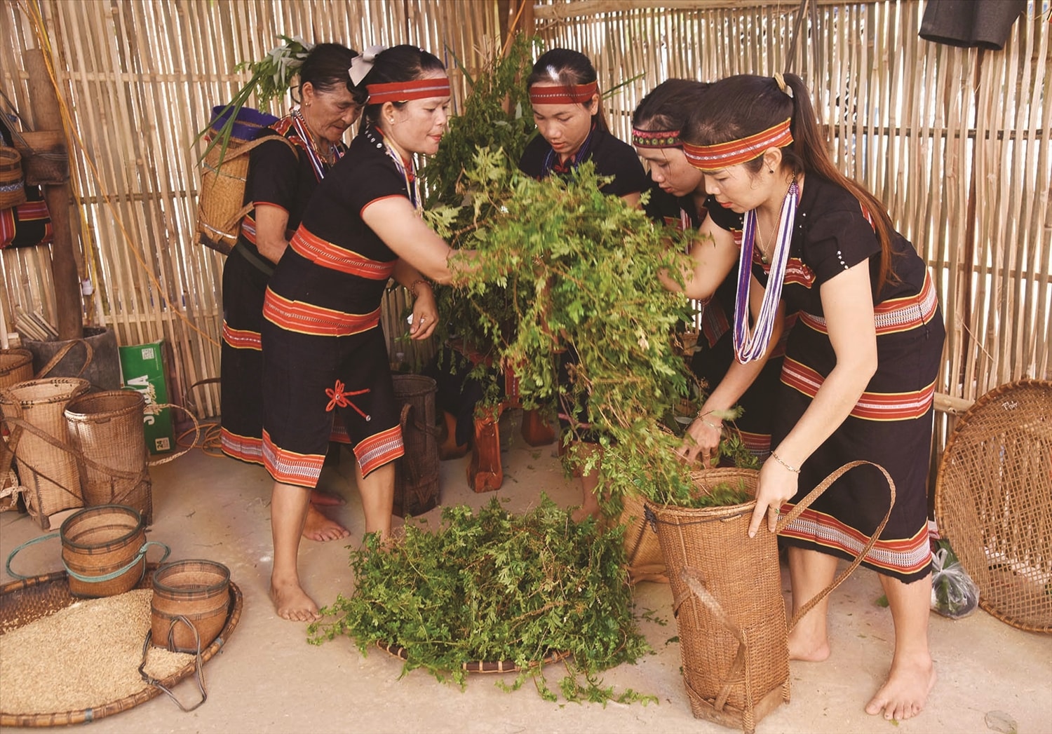 Trước Lễ hội cúng lúa trăm, bà chủ nhà cùng một số phụ nữ trong làng sẽ đi hái lá, hoa cỏ để chuẩn bị kết thành từng chùm trang trí trên mái tóc Trước Lễ hội cúng lúa trăm, bà chủ nhà cùng một số phụ nữ trong làng sẽ đi hái lá, hoa cỏ để chuẩn bị kết thành từng chùm trang trí trên mái tóc