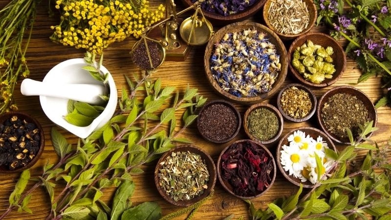 Cỏ mần trầu thường sử dụng với các vị khác để chữa các bệnh khác nhau Cỏ mần trầu thường sử dụng với các vị khác để chữa các bệnh khác nhau