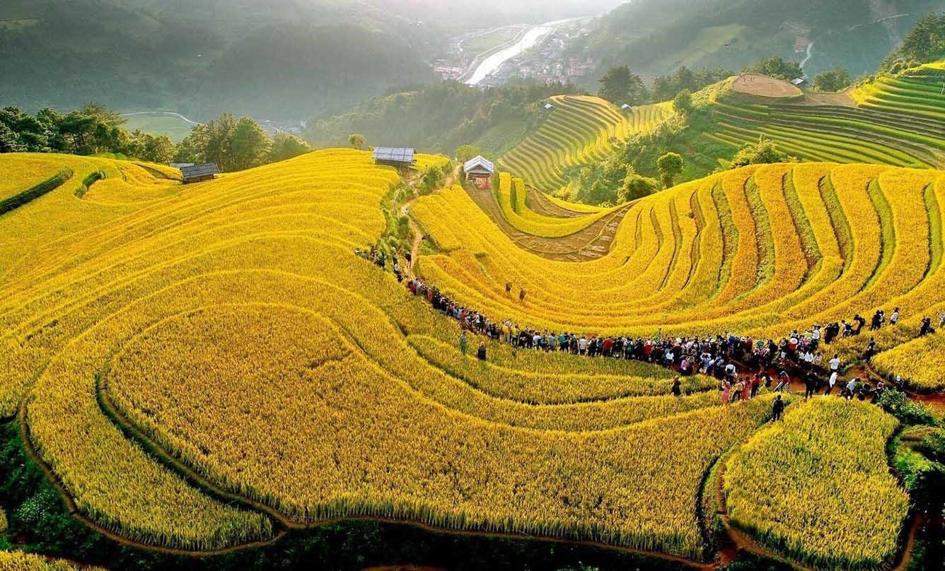 Vẻ đẹp danh thắng ruộng bậc thang Mù Cang Chải vào mùa lúa chín (Ảnh TL) Vẻ đẹp danh thắng ruộng bậc thang Mù Cang Chải vào mùa lúa chín (Ảnh TL)
