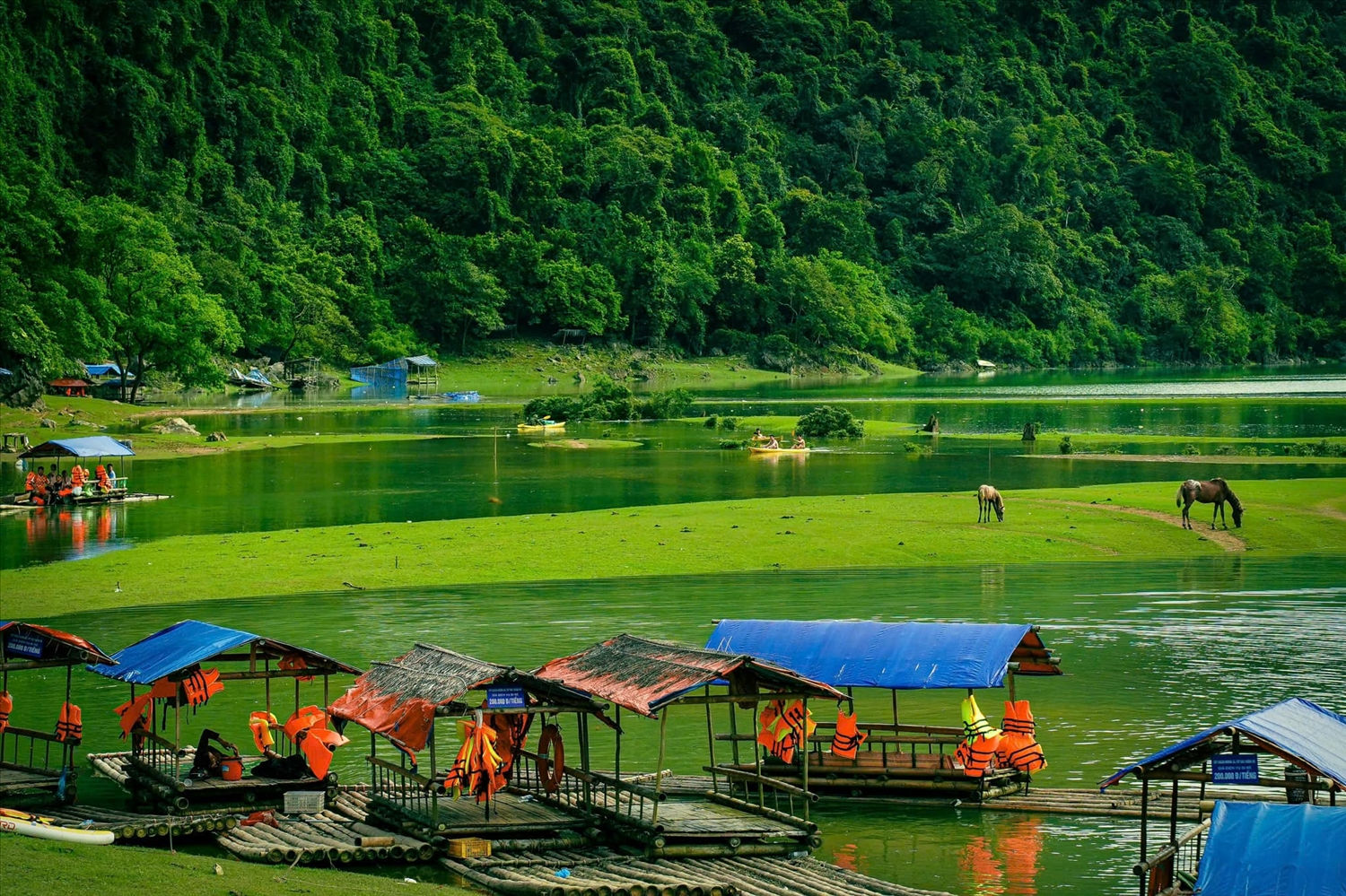 Một góc thảo nguyên Đồng Lâm (Lạng Sơn) Một góc thảo nguyên Đồng Lâm (Lạng Sơn)