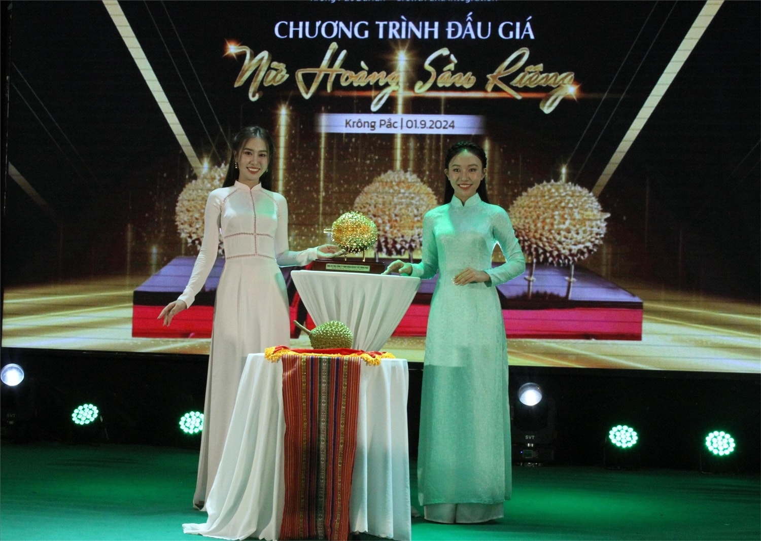 Từng Nữ hoàng sầu riêng được giới thiệu, đưa ra đấu giá Từng Nữ hoàng sầu riêng được giới thiệu, đưa ra đấu giá