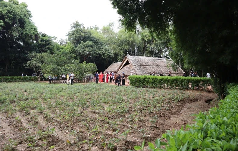 Mái nhà tranh mộc mạc, đơn sơ dưới màu xanh của vườn cây và những bóng tre Mái nhà tranh mộc mạc, đơn sơ dưới màu xanh của vườn cây và những bóng tre