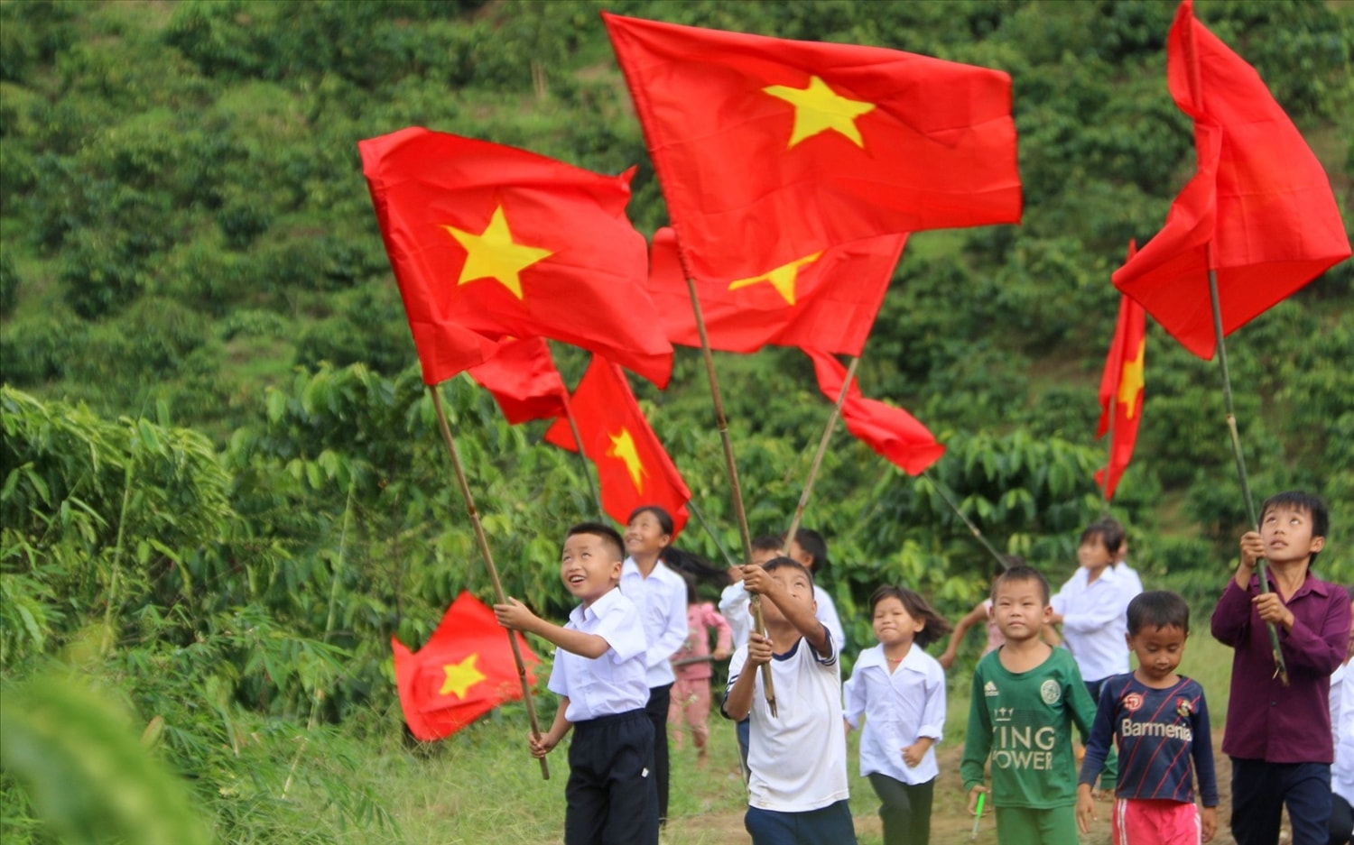Ảnh minh họa Ảnh minh họa