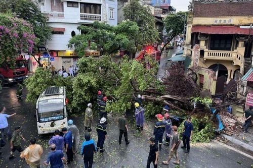 Lực lượng Cảnh sát PCCC&CNCH tham gia cứu nạn, cứu hộ vụ cây đổ tại phố Chả Cá, quận Hoàn Kiếm, TP. Hà Nội (Ảnh: CACC)