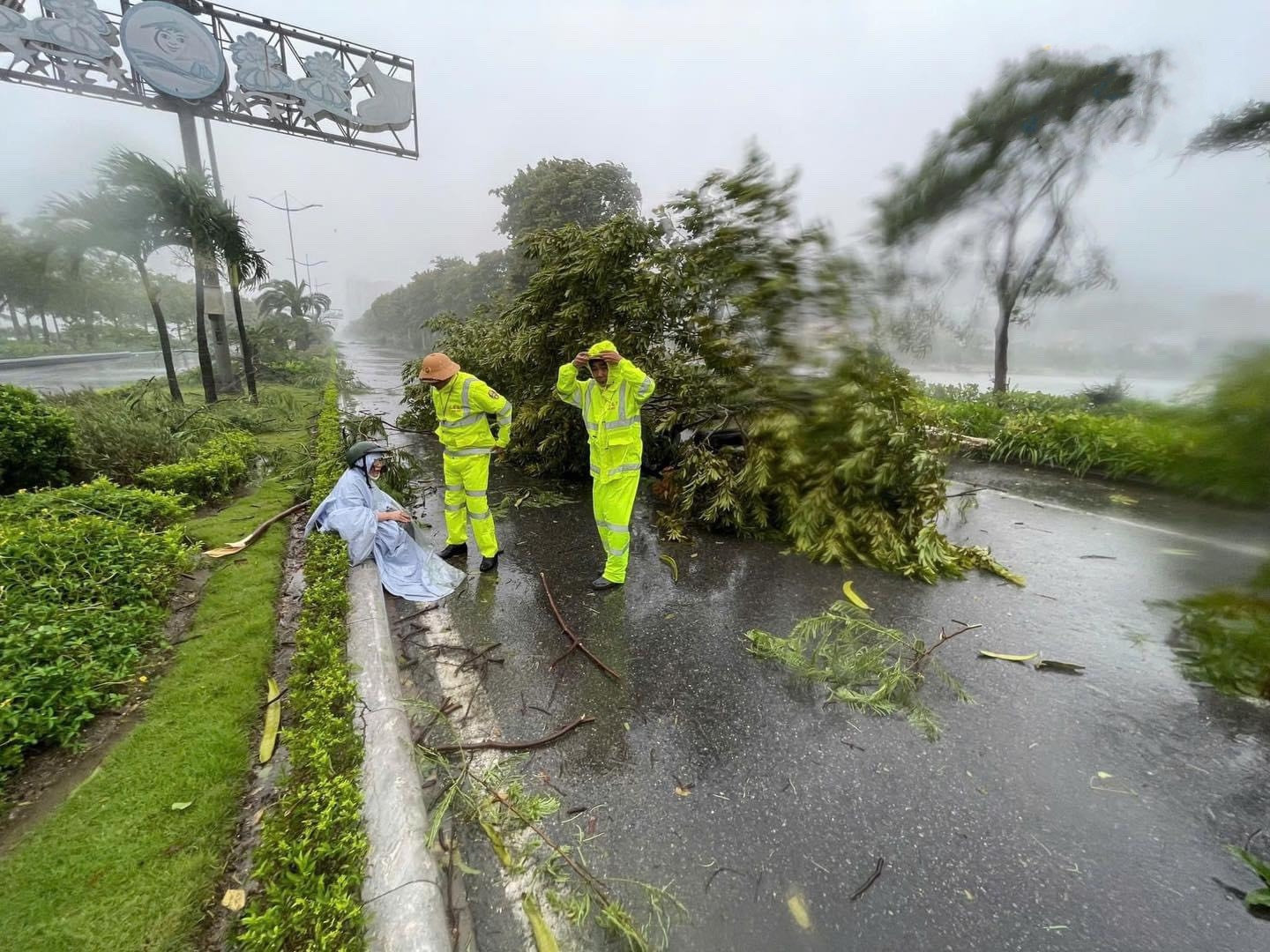 Quảng Ninh mưa lớn, cây đổ và mất điện trên diện rộng