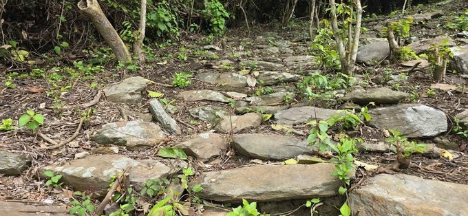 Phát hiện con đường thiên lý Bắc - Nam bằng đá cổ ở Đèo Ngang Phát hiện con đường thiên lý Bắc - Nam bằng đá cổ ở Đèo Ngang