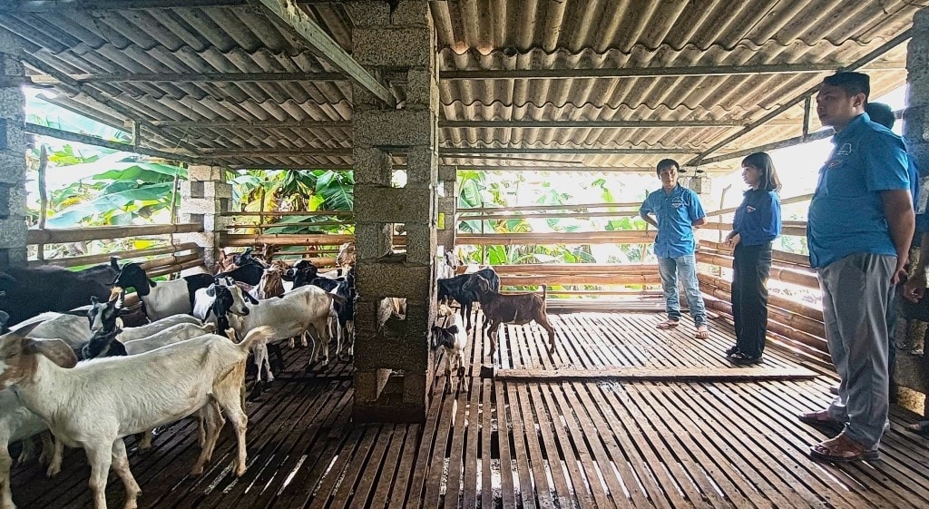 (BCĐ- Bài chuyên đề BDT Cao Bằng) Tạo “bệ đỡ” cho thanh niên khởi nghiệp