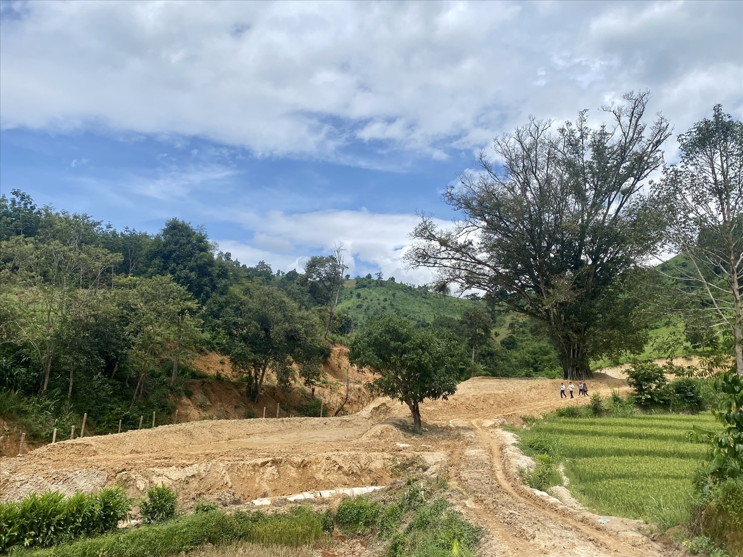 Đất ở khu vực Cây đa cười mới “cơ bản” được trả lại hiện trạng ban đầu Đất ở khu vực Cây đa cười mới “cơ bản” được trả lại hiện trạng ban đầu
