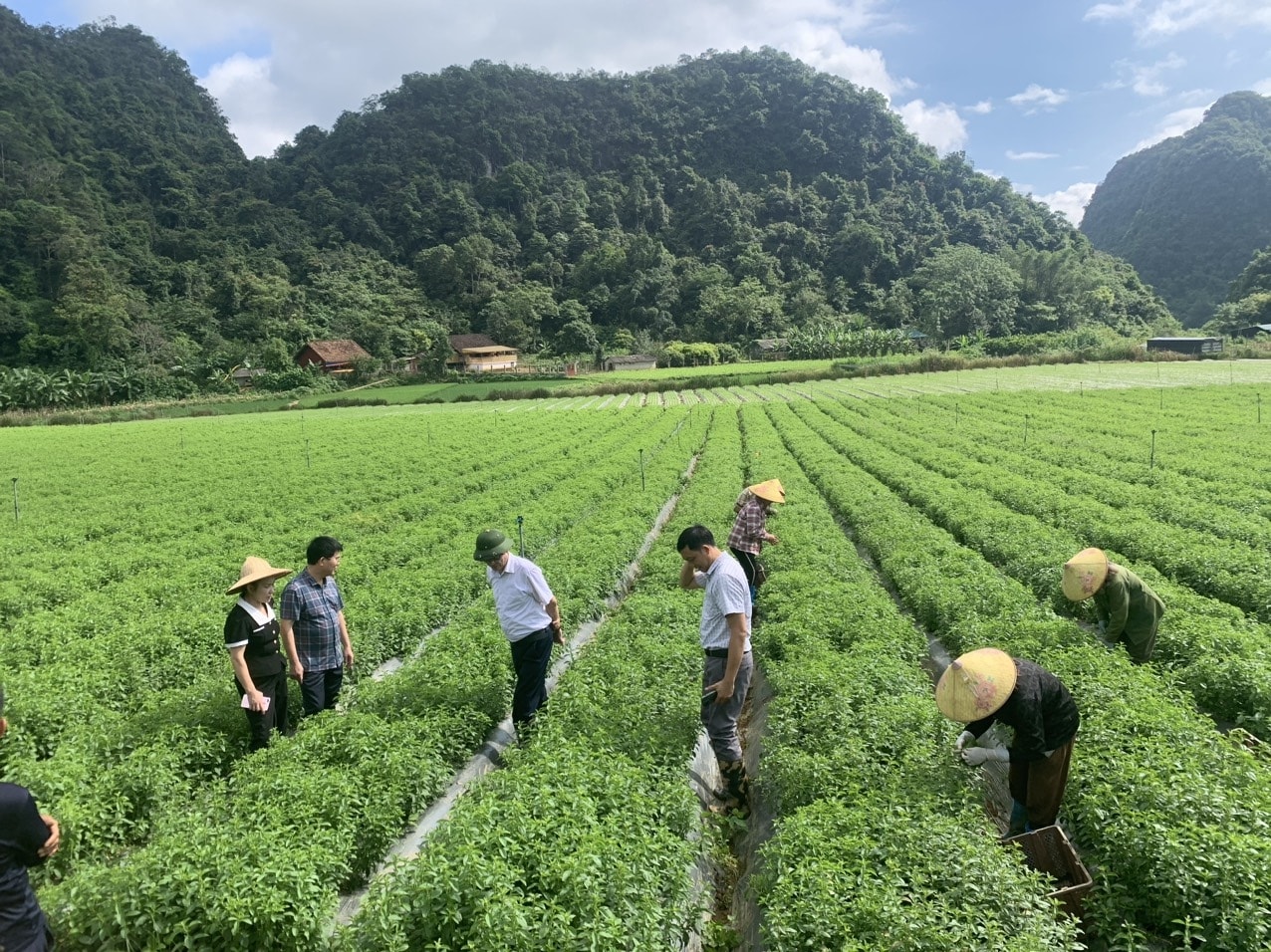 (BCĐ - Chuyên đề Ban DT Cao Bằng ) Tăng cường giám sát thực hiện Chương trình MTQG 1719 ở Cao Bằng: Đi cùng thực hiện  (Bài 2) 2