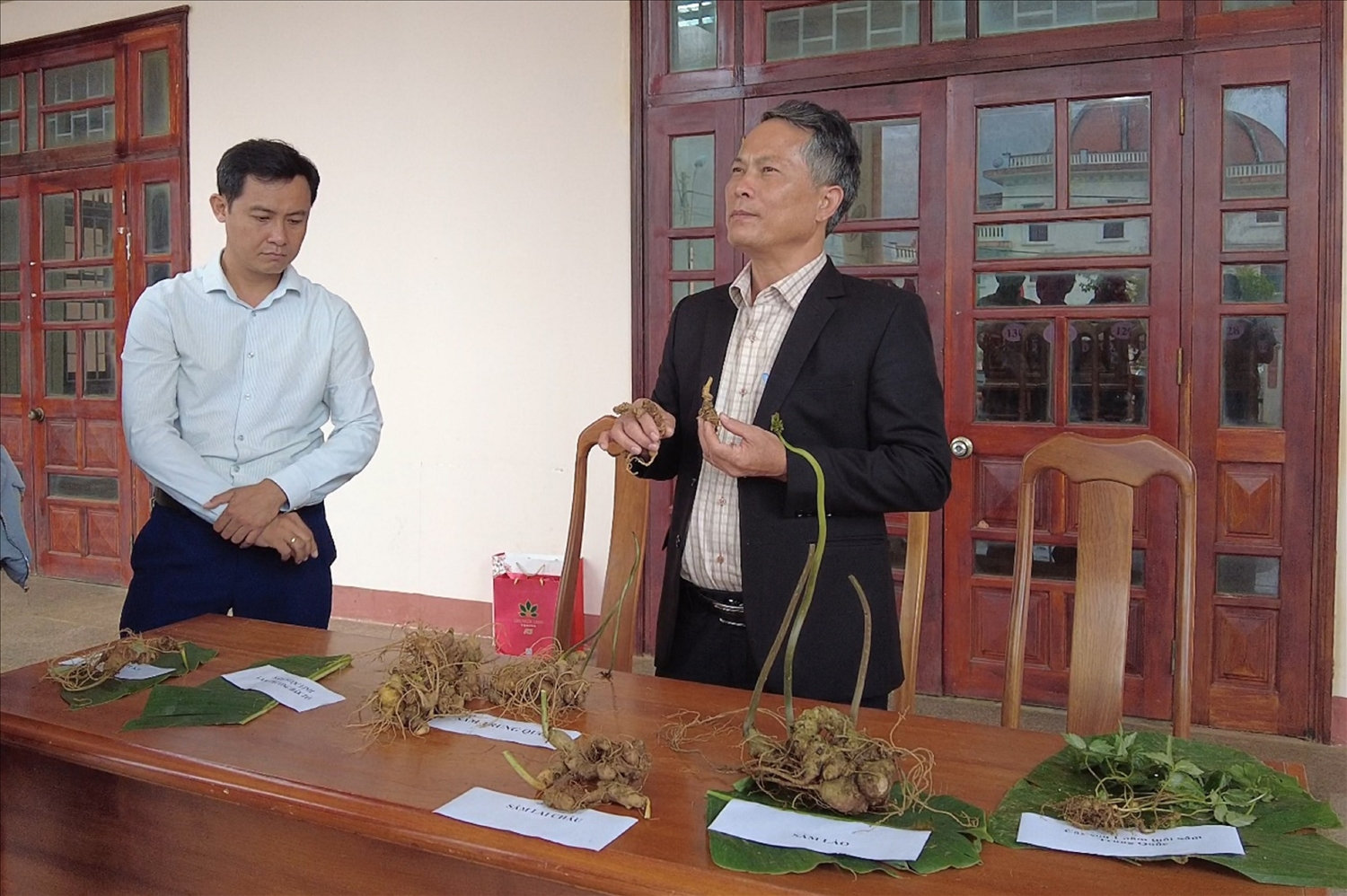 Ông Võ Trung Mạnh, Chủ tịch UBND huyện Tu Mơ Rông giới thiệu cây sâm Ngọc Linh Kon Tum. Ông Võ Trung Mạnh, Chủ tịch UBND huyện Tu Mơ Rông giới thiệu cây sâm Ngọc Linh Kon Tum.