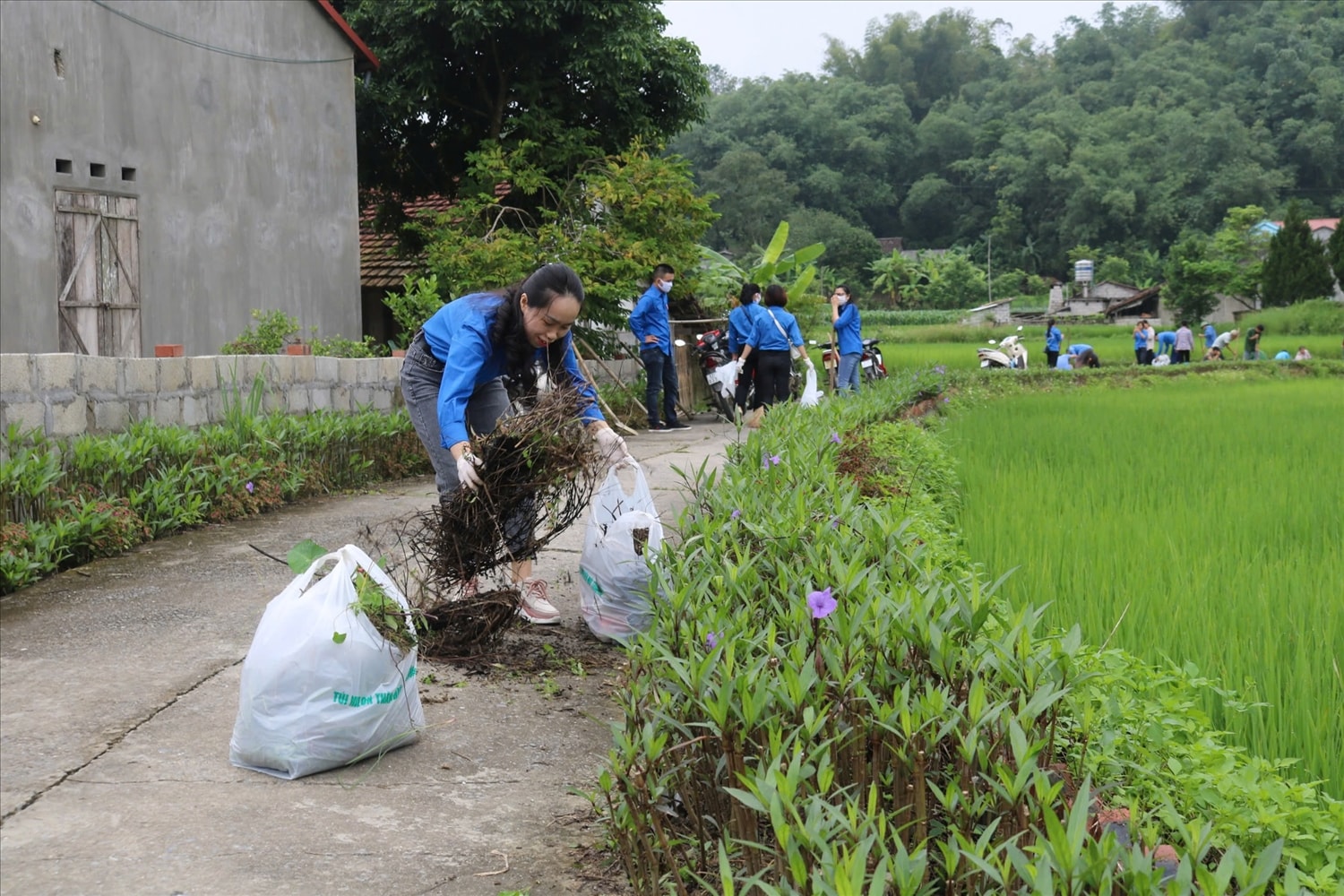 Đoàn viên, thanh niên tham gia dọn dẹp đường nông thôn mới xã Tú Xuyên, huyện Văn Quan. Đoàn viên, thanh niên tham gia dọn dẹp đường nông thôn mới xã Tú Xuyên, huyện Văn Quan.