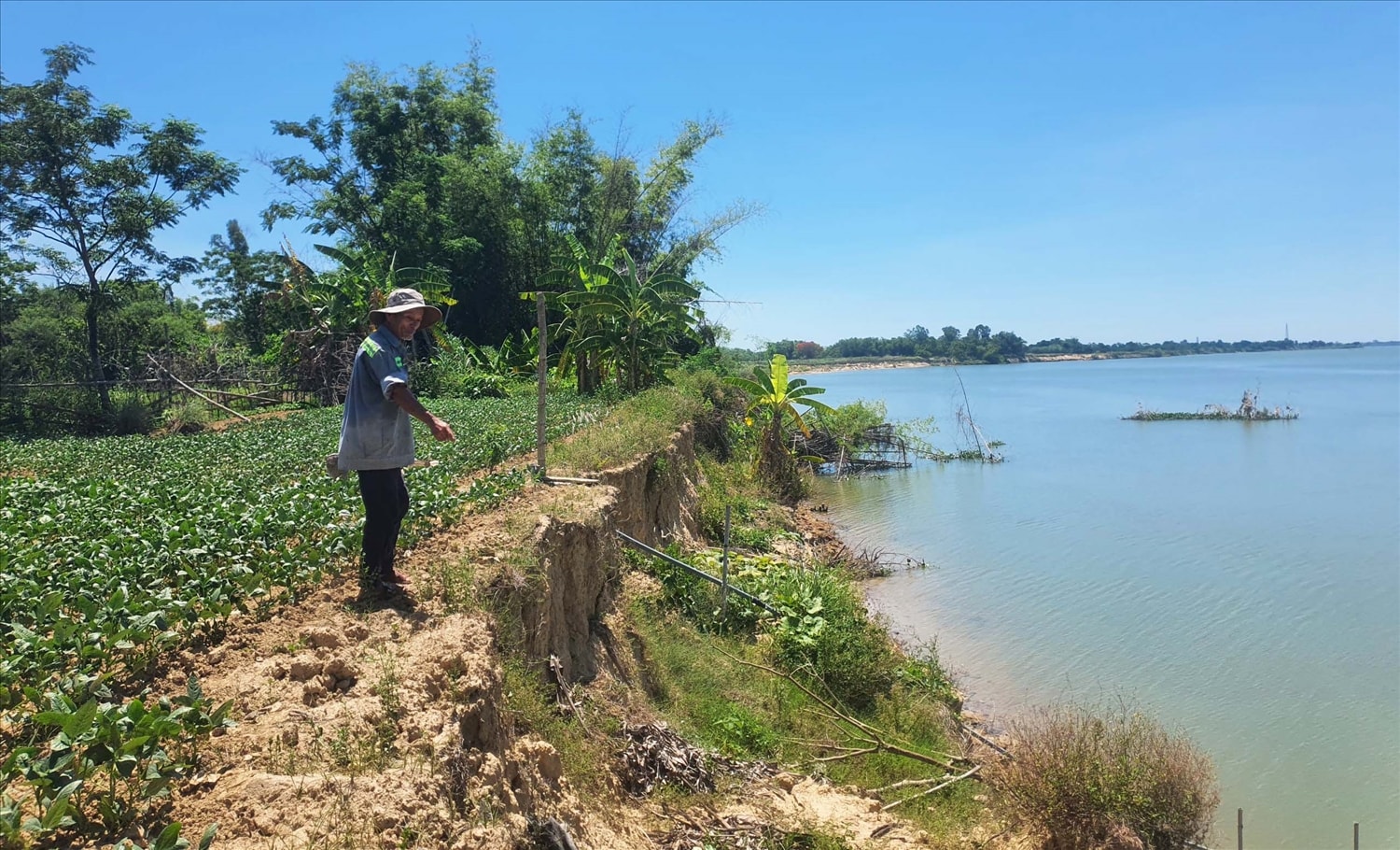 Sạt lở bờ sông Thu Bồn ngày càng nghiêm trọng, ảnh hưởng đến hàng trăm người dân. Sạt lở bờ sông Thu Bồn ngày càng nghiêm trọng, ảnh hưởng đến hàng trăm người dân.