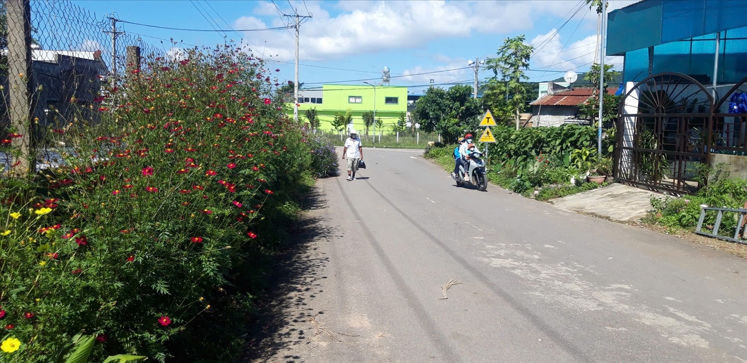 Chị em phụ nữ DTTS góp phần xây dựng M’Lọn khang trang, sạch đẹp. Chị em phụ nữ DTTS góp phần xây dựng M’Lọn khang trang, sạch đẹp.
