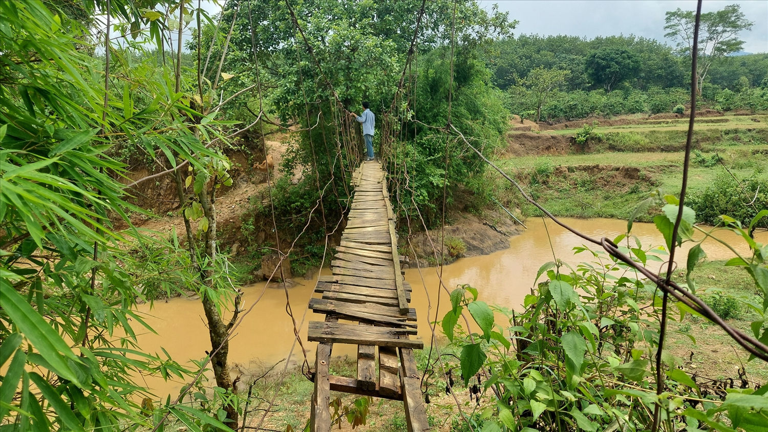 Toàn tỉnh Kon Tum hiện có 95 cây cầu treo chưa đảm bảo kết cấu bê tông cốt thép và 29 cầu treo trong tình trạng hư hỏng nặng Toàn tỉnh Kon Tum hiện có 95 cây cầu treo chưa đảm bảo kết cấu bê tông cốt thép và 29 cầu treo trong tình trạng hư hỏng nặng