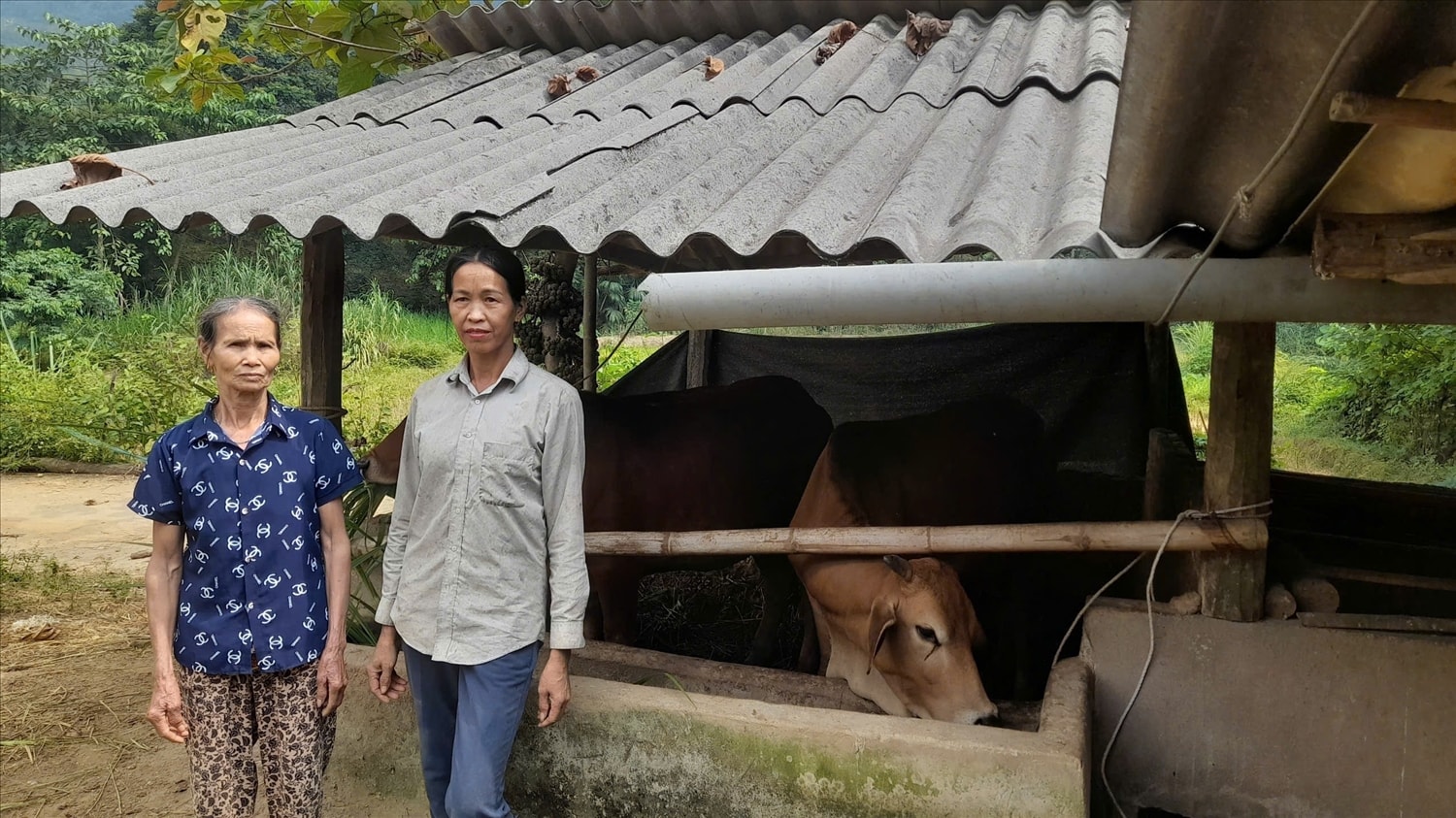 Bà Trần thị Tầm (bên trái) là một người cần cù và tâm huyết với công việc, giúp cho nhiều hộ nghèo trên địa bàn thôn Tân Lập, xã Chiêu Yên, huyện Yên Sơn có điều kiện vươn lên thoát nghèo Bà Trần thị Tầm (bên trái) là một người cần cù và tâm huyết với công việc, giúp cho nhiều hộ nghèo trên địa bàn thôn Tân Lập, xã Chiêu Yên, huyện Yên Sơn có điều kiện vươn lên thoát nghèo