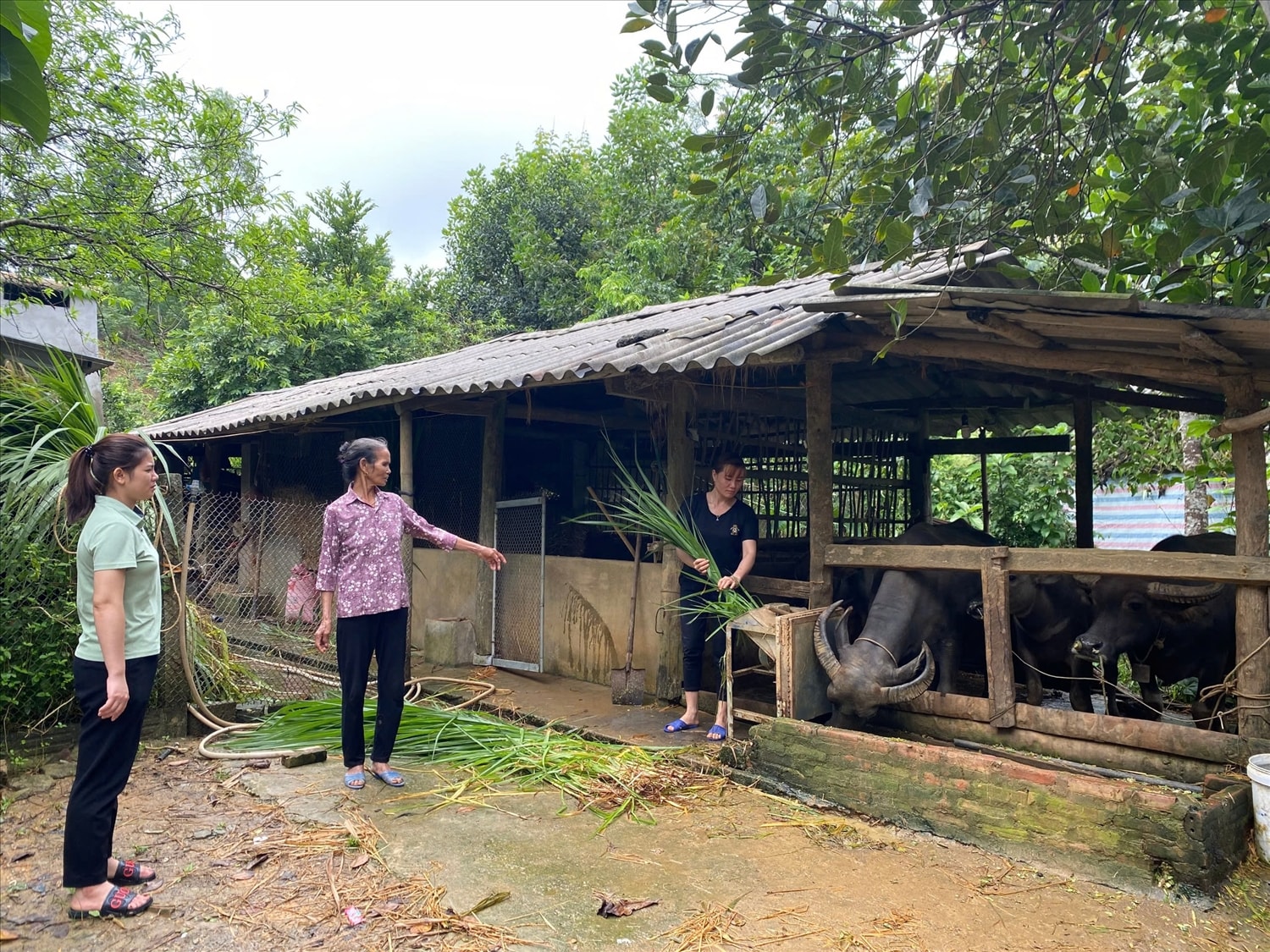Bà Trần Thị Tầm (ở giữa) trao đổi với hộ vay về sử dụng nguồn vốn trên địa bàn thôn Tân Lập, xã Chiêu Yên, huyện Yên Sơn Bà Trần Thị Tầm (ở giữa) trao đổi với hộ vay về sử dụng nguồn vốn trên địa bàn thôn Tân Lập, xã Chiêu Yên, huyện Yên Sơn