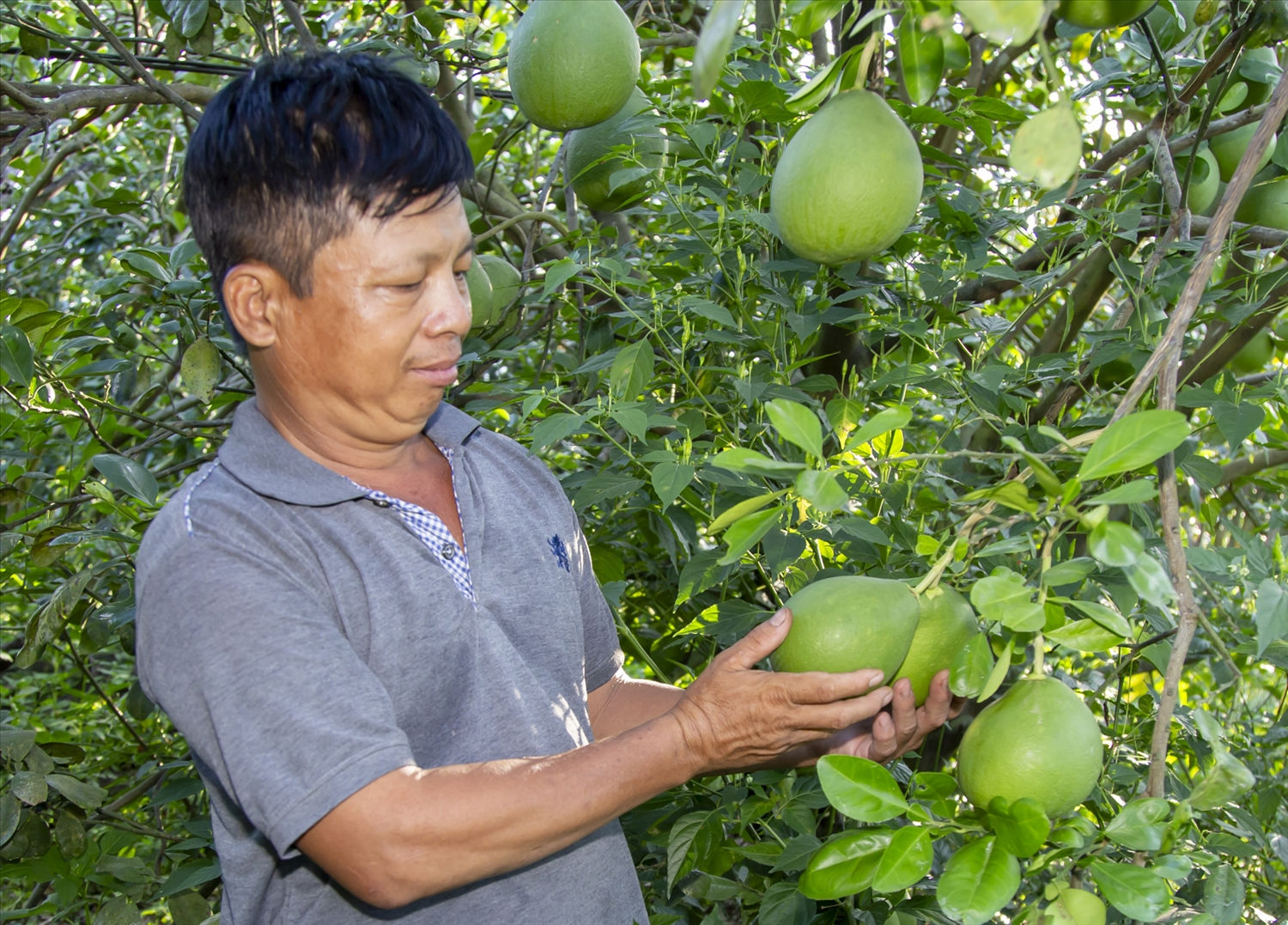 Được sự hỗ trợ của Nhà nước, người dân miền núi Khánh Hoà tập trung làm ăn, phát triển kinh tế Được sự hỗ trợ của Nhà nước, người dân miền núi Khánh Hoà tập trung làm ăn, phát triển kinh tế