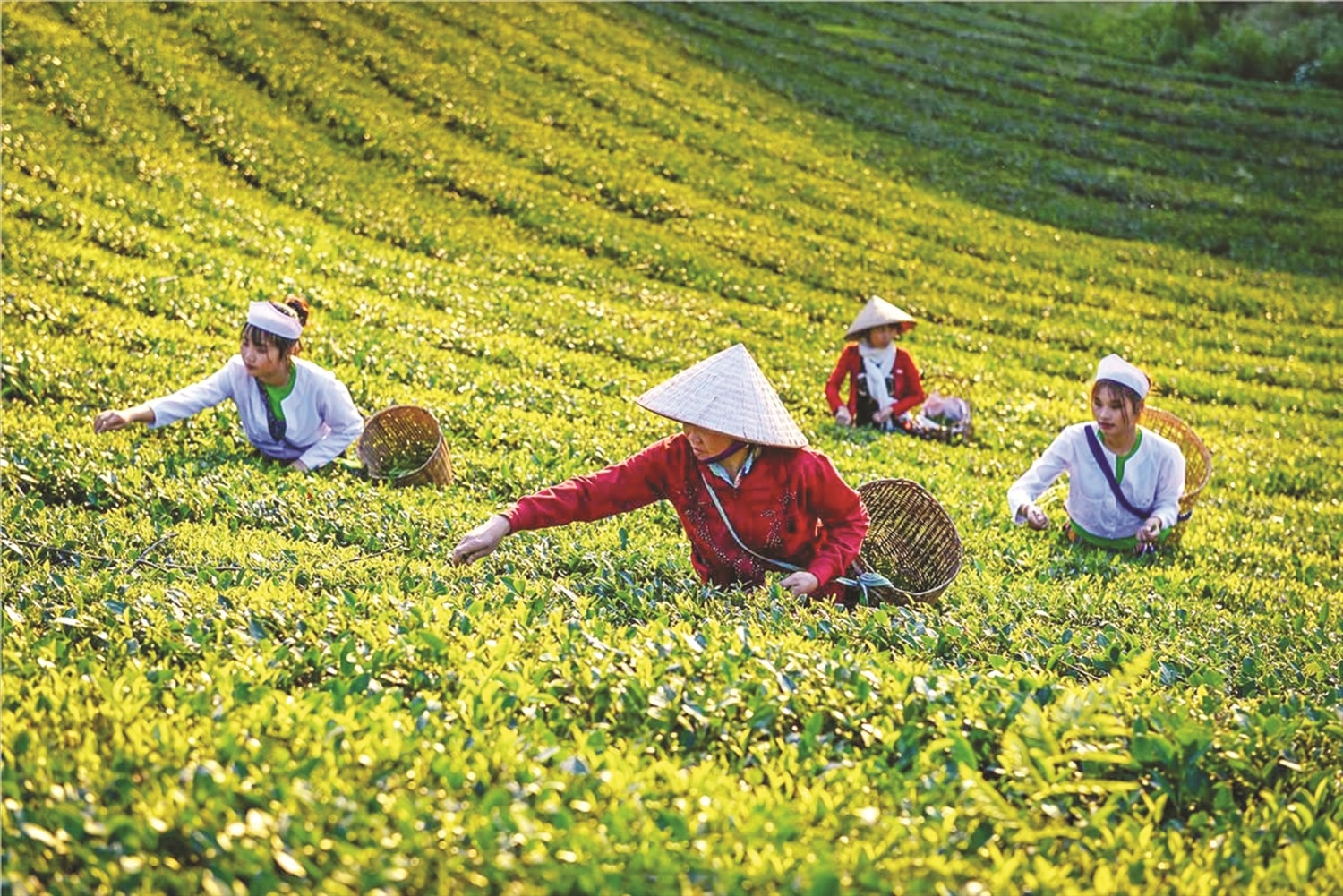 Đời sống kinh tế - xã hội tỉnh Phú Thọ có bước phát triển nhờ sự đóng góp quan trọng của những Người có uy tín trong đồng bào DTTS. Ảnh minh họa Đời sống kinh tế - xã hội tỉnh Phú Thọ có bước phát triển nhờ sự đóng góp quan trọng của những Người có uy tín trong đồng bào DTTS. Ảnh minh họa