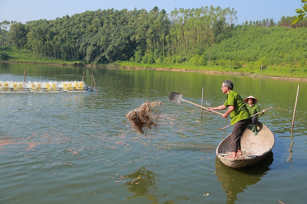 Nhờ thực hiện có hiệu quả các chính sách dân tộc, đời sống kinh tế của Nhân dân trên địa bàn tỉnh Phú Thọ có nhiều chuyển biến tích cực (Ảnh minh họa). Nhờ thực hiện có hiệu quả các chính sách dân tộc, đời sống kinh tế của Nhân dân trên địa bàn tỉnh Phú Thọ có nhiều chuyển biến tích cực (Ảnh minh họa).