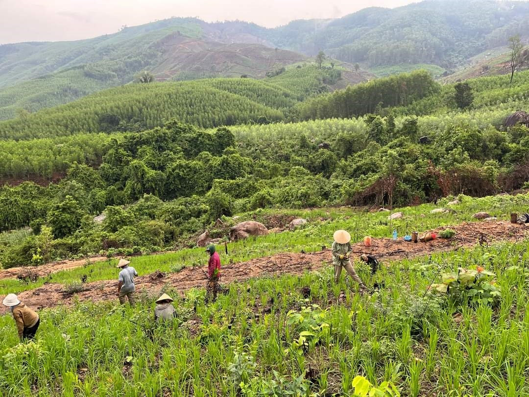 Nhiều hộ đồng bào DTTS tại huyện Khánh  Vĩnh (Khánh Hoà) vẫn đang thiếu đất sản xuất