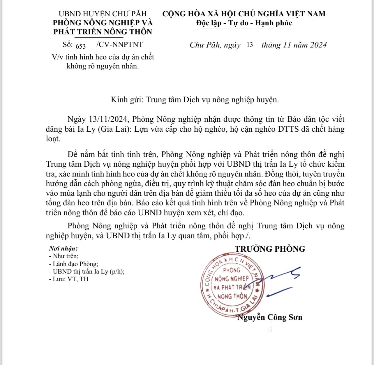 Công văn của huyện Chư Păh đề nghị kiểm tra, xác minh nguyên nhân lợn giống cấp cho người nghèo, cận nghèo DTTS chết hàng loạt ở thị trấn Ia ly