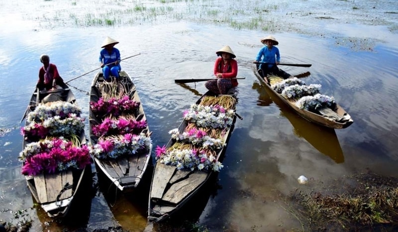 Mùa nước nổi miền Tây Nam bộ cũng là một trong những tour du lịch thu hút du khách. Mùa nước nổi miền Tây Nam bộ cũng là một trong những tour du lịch thu hút du khách.