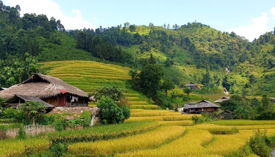 Bắc Hà (Lào Cai) Chuẩn hóa du lịch cộng đồng từ thành quả xây dựng nông thôn mới 5