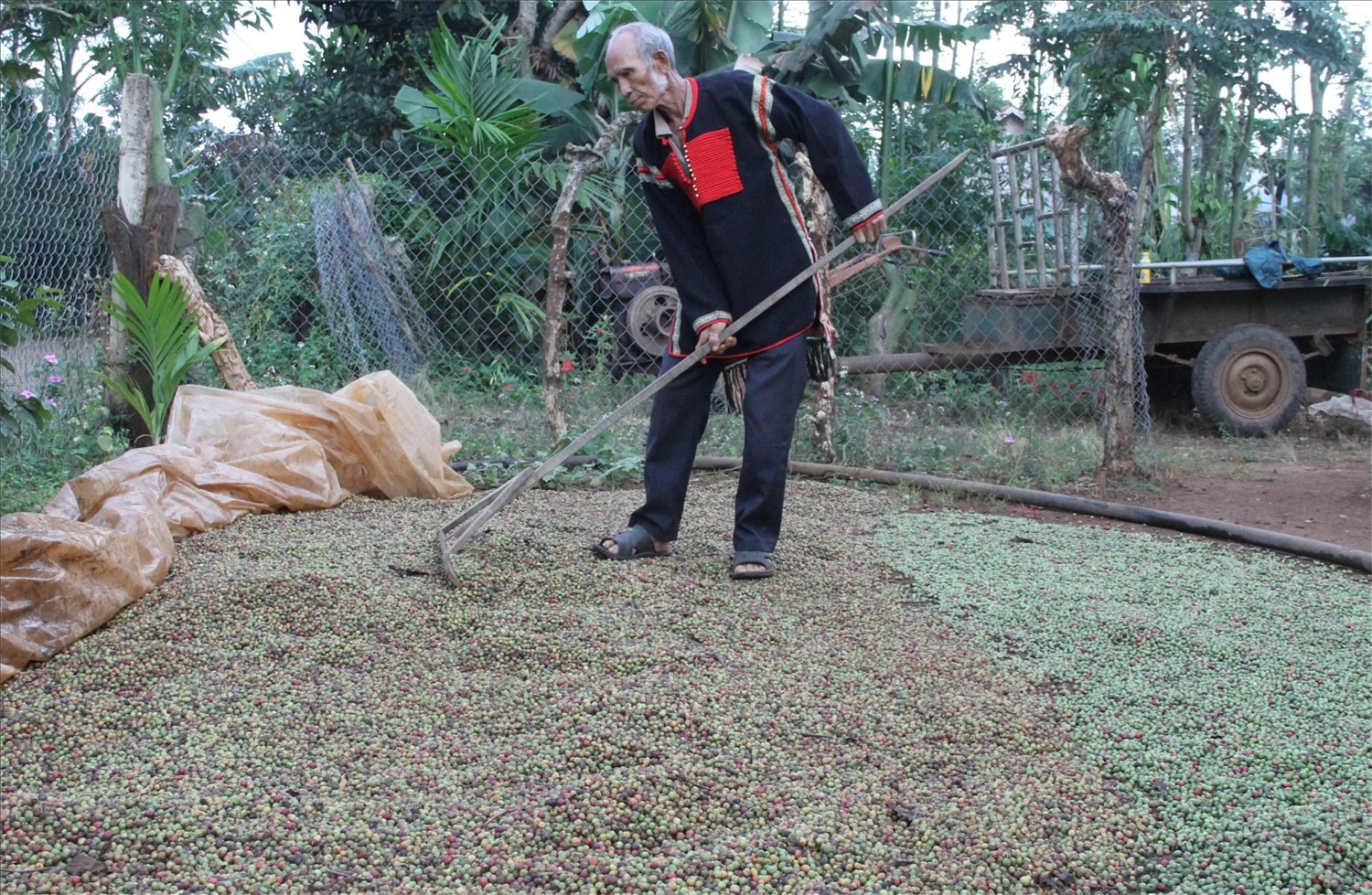 Già Y Om vẫn tích cực phát triển kinh tế gia đình Già Y Om vẫn tích cực phát triển kinh tế gia đình