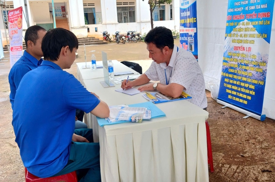 Tư vấn giới thiệu việc làm cho người lao động tại huyện Đức Cơ tỉnh Gia Lai