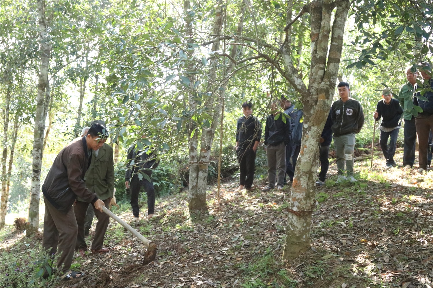 Những năm qua, huyện Bình Gia luôn chú trọng đào tạo nghề cho người lao động nông thôn Những năm qua, huyện Bình Gia luôn chú trọng đào tạo nghề cho người lao động nông thôn