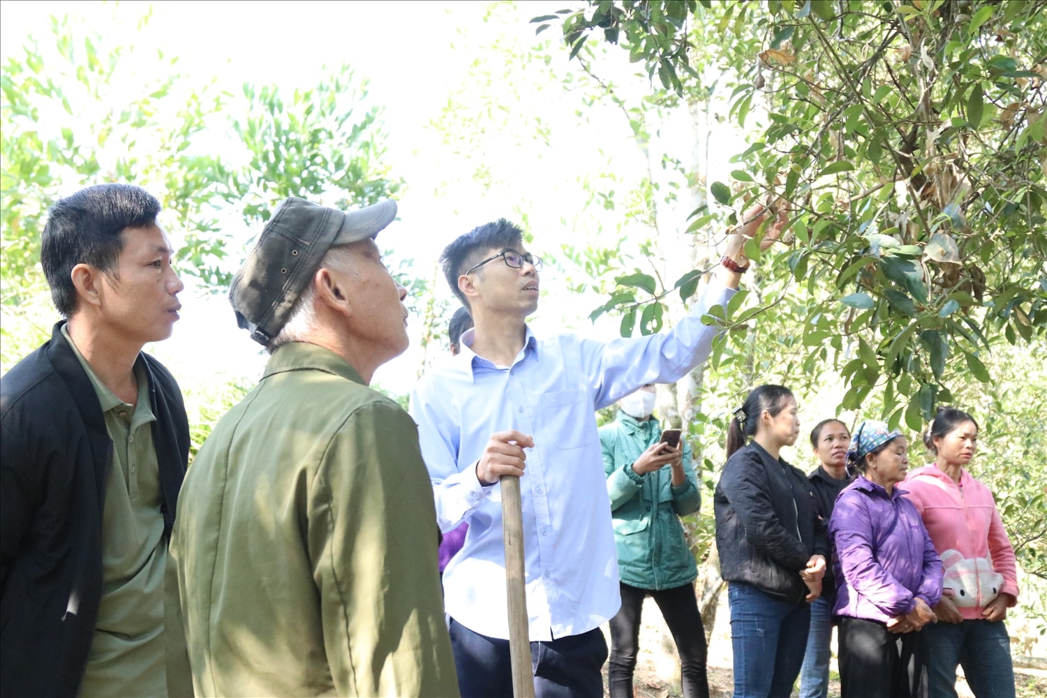 Các lớp đào tạo nghề trồng trọt, chăn nuôi đã giúp người dân có kiến thức áp dụng vào sản xuất Các lớp đào tạo nghề trồng trọt, chăn nuôi đã giúp người dân có kiến thức áp dụng vào sản xuất