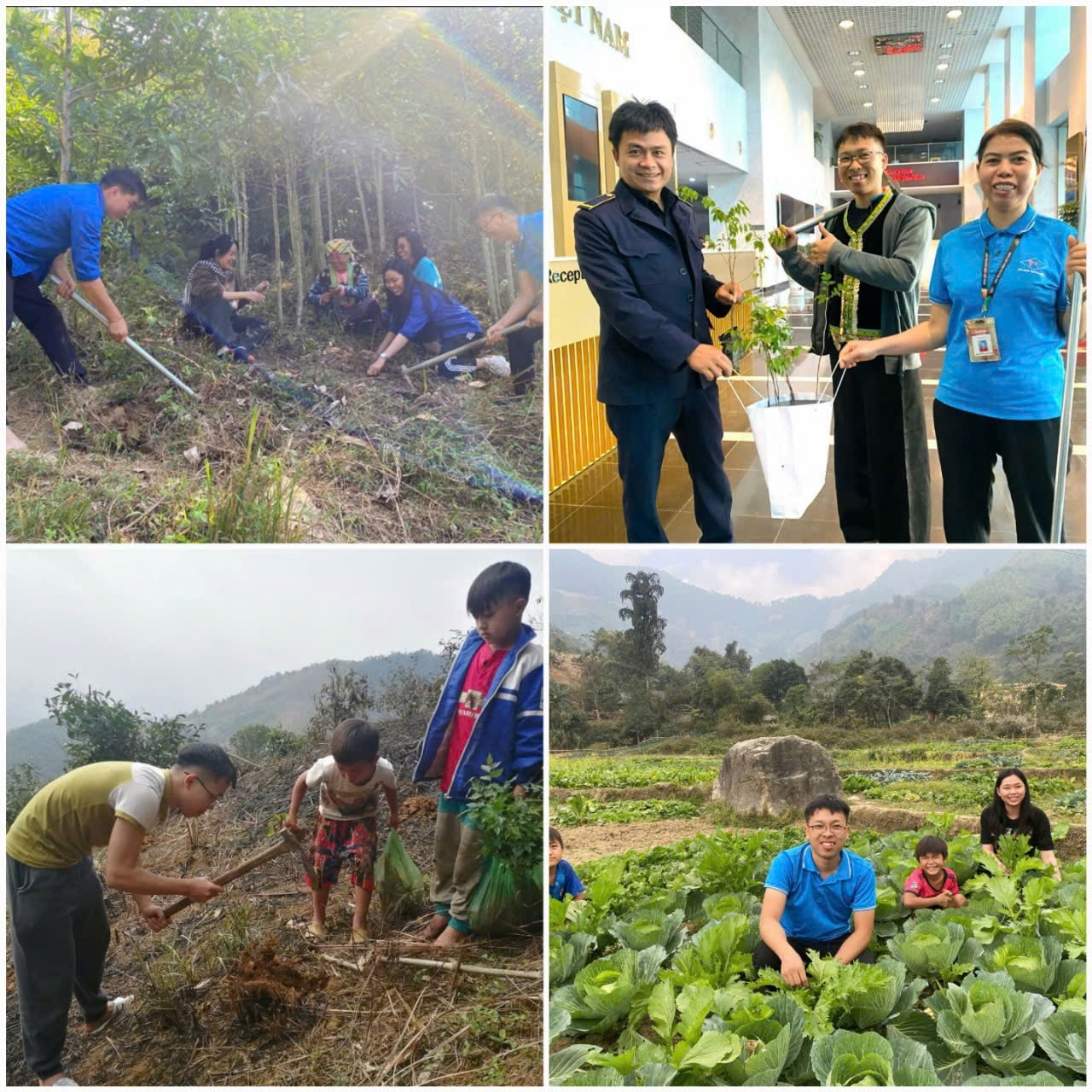 . Dự án 