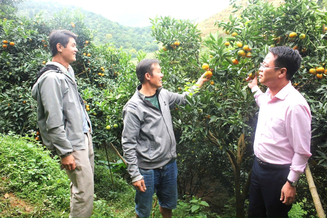 Nhờ nguồn vốn 50 triệu đồng từ Chương trình vốn cho vay hộ sản xuất, kinh doanh tại vùng khó khăn của NHCSXH , gia đình anh Hà Công Lợi ở xóm Chiến, xã Vân Sơn, huyện Tân Lạc (Hòa Bình), đầu tư 300 cây cam quýt, chăn nuôi 2 bò mẹ và 10 con lợn. Nhờ đó đã giúp gia đình anh thu nhập hơn 100 triệu/1 năm.