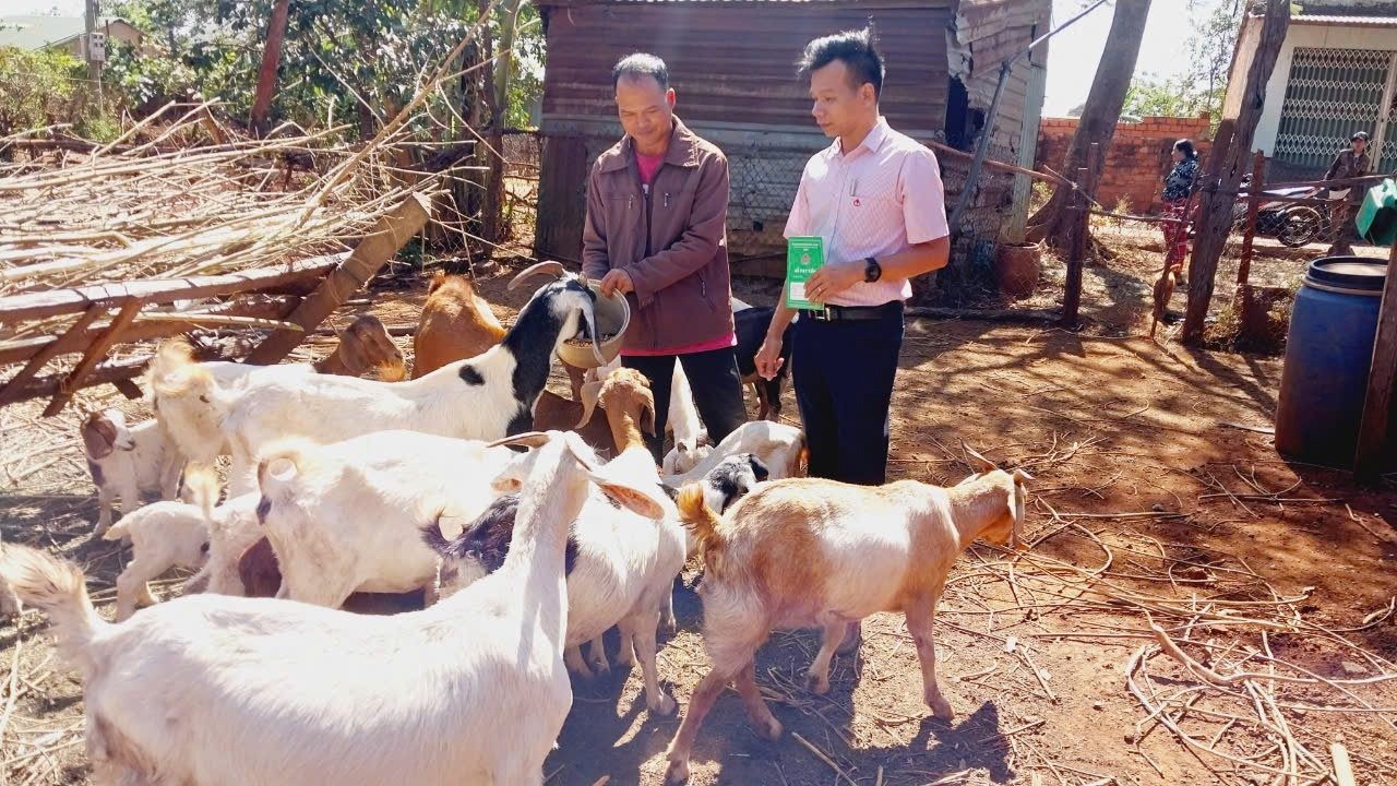 Mặc dù số đồng bào DTTS tiếp cận vốn vay CSXH có xu hướng giảm, nhưng  tổng dư nợ có xu hướng tăng lớn và tăng đều qua các năm. Điều này giúp dư nợ trung bình/hộ DTTS tăng lên, đáp ứng nhu cầu vay vốn của các đối tượng thụ hưởng trong điều kiện giá cả tăng và nhu cầu phát triển các mô hình sản xuất kinh doanh quy mô lớn trong đồng bào DTTS. (Ảnh minh họa)