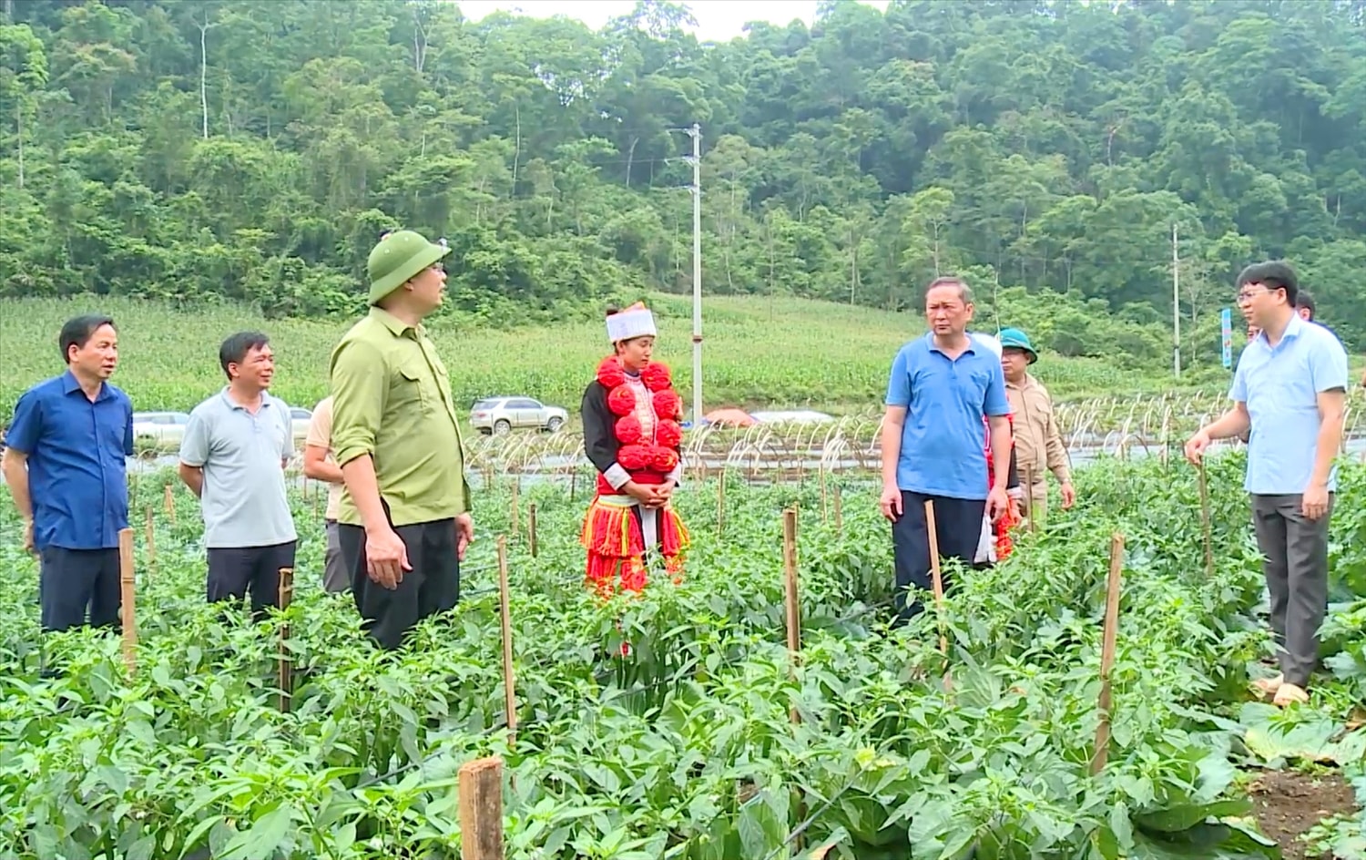 Lãnh đạo huyện Na Hang tham quan vườn rau sạch tại xã Khâu Tinh, được sản xuất theo chuẩn VietGAP. Lãnh đạo huyện Na Hang tham quan vườn rau sạch tại xã Khâu Tinh, được sản xuất theo chuẩn VietGAP.