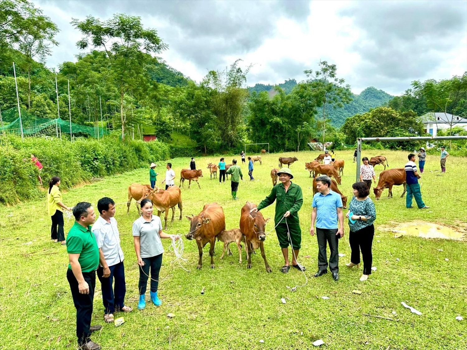 Người dân xã Xuân Quang, xã Bình Phú, huyện Chiêm Hoá được hỗ trợ giống bò để phát triển theo chuỗi sản phẩm (Ảnh PT) Người dân xã Xuân Quang, xã Bình Phú, huyện Chiêm Hoá được hỗ trợ giống bò để phát triển theo chuỗi sản phẩm (Ảnh PT)