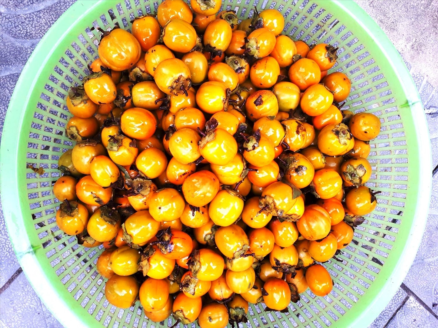 Quả hồng không hạt, một trong những đặc sản nổi tiếng của vùng đất Quản Bạ. 