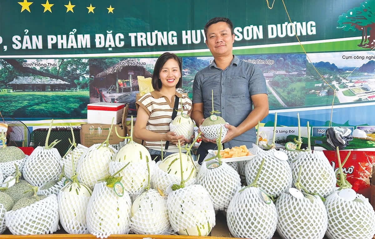 Dưa lưới - sản phẩm OCOP của huyện Sơn Dương được quảng bá mạnh mẽ