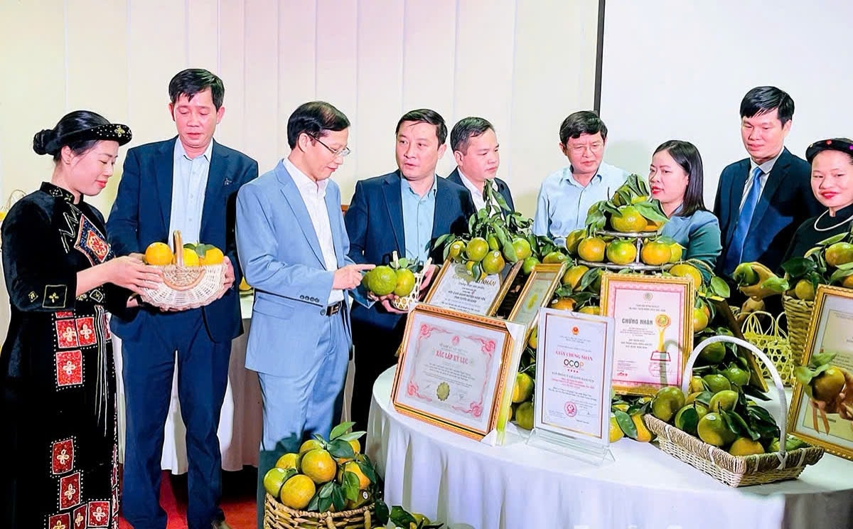 Các đại biểu trao đổi, kết nối thông tin thúc đẩy tiêu thụ sản phẩm Cam sành Hàm Yên trong “Hội nghị kết nối tiêu thụ cam sành Hàm Yên năm 2023”. Các đại biểu trao đổi, kết nối thông tin thúc đẩy tiêu thụ sản phẩm Cam sành Hàm Yên trong “Hội nghị kết nối tiêu thụ cam sành Hàm Yên năm 2023”.
