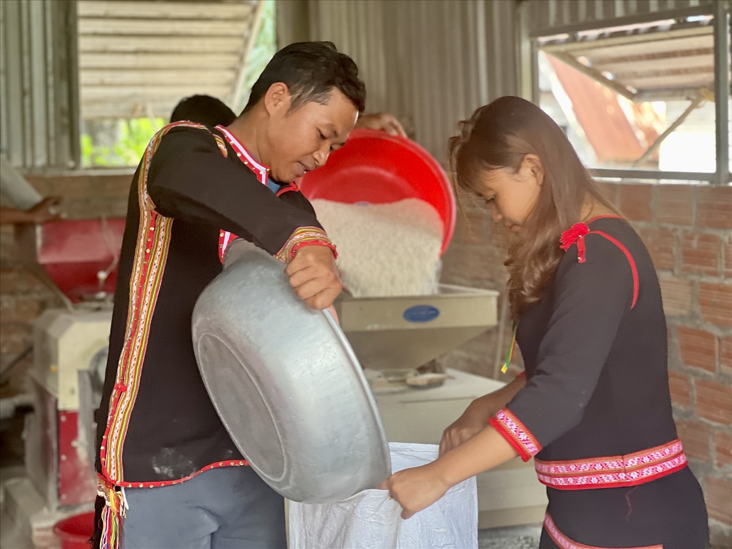 Sản phẩm lúa đá mỗi năm 1 vụ được mọi người ưa chuộng và tìm mua bởi đặc tính cơm ngọt, trắng,  dễ ăn  