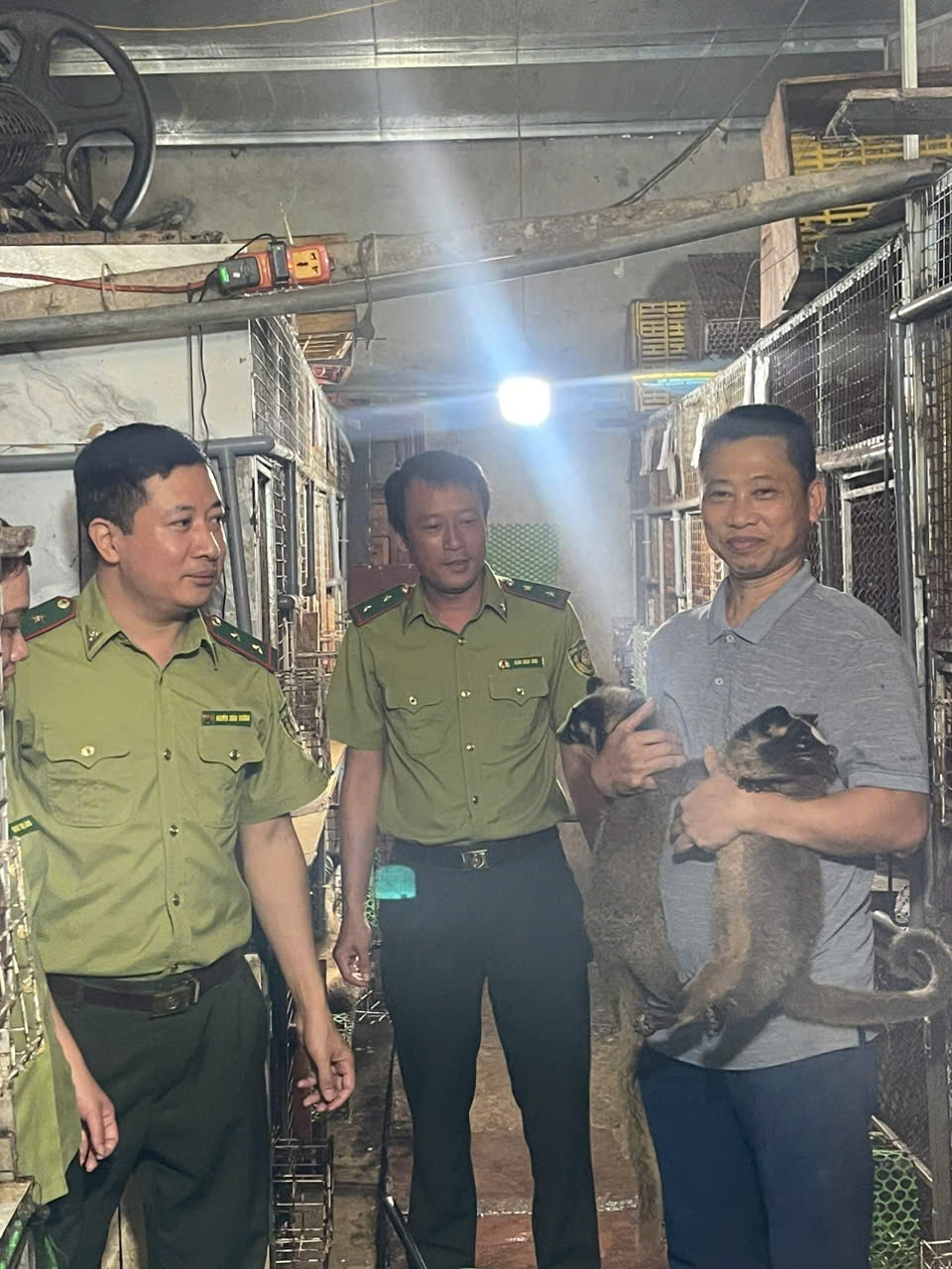 Cán bộ Hạt Kiểm lâm đến kiểm tra hộ ông Vũ Đình Sơn, thôn An Thịnh, xã Tân An, huyện Chiêm Hoá, tỉnh Tuyên Quang nuôi Cày Hương, Cày vòi  Mốc và Dúi Má đào