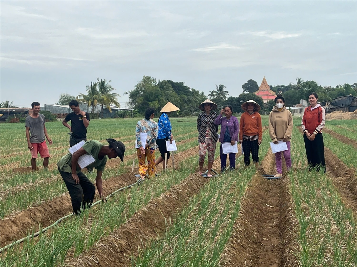 Công tác đào tạo nghề cho bà con DTTS tại Vĩnh Châu đã mang lại nhiều hiệu quả thiết thực (Trong ảnh: Lớp học trồng cây gia vị (hành) tại khóm Vĩnh Bình, phường 2, thị xã Vĩnh Châu, tỉnh Sóc Trăng)